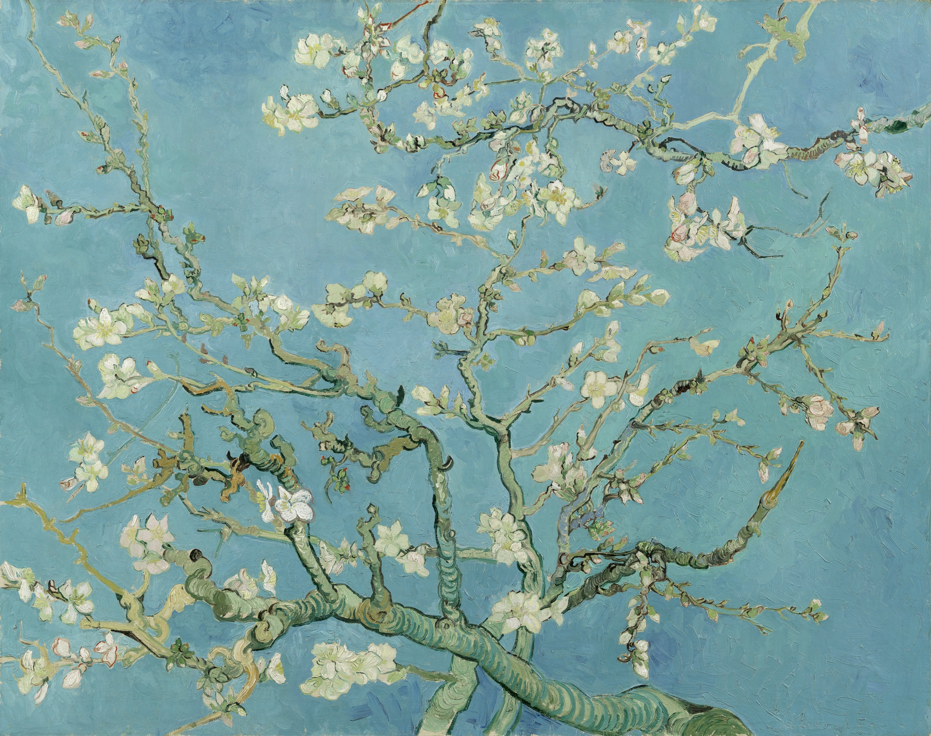 Almond Blossom painting by Vincent van Gogh
