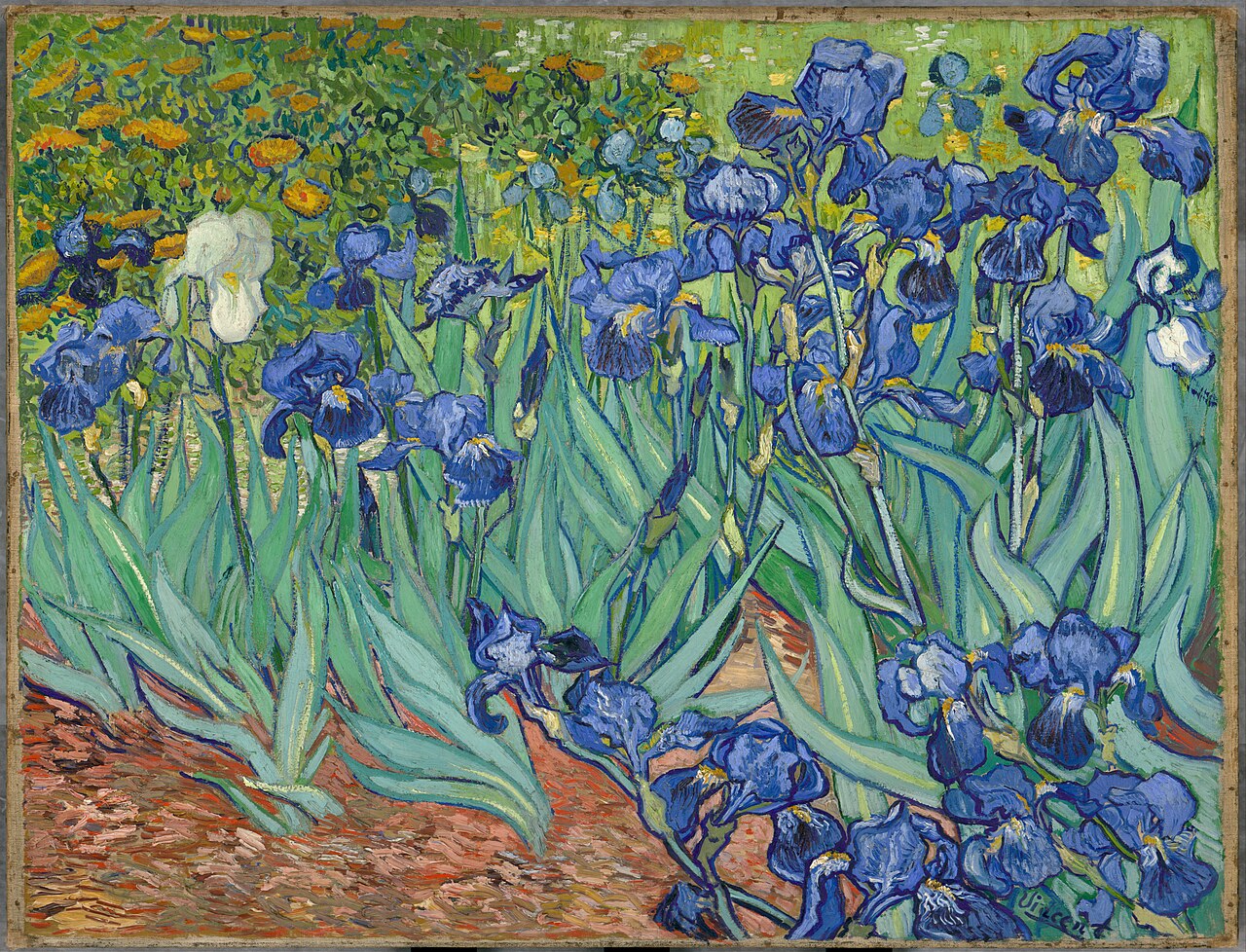 Irises painting by Vincent van Gogh